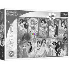 Puzzle - Disney hercegnk, 160 db