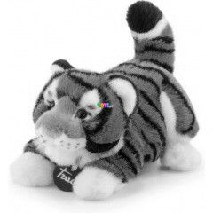 Trudi - Bruce, a plss tigris