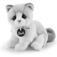 Trudi - Kitty Brad, a fehr-bzs plss cica