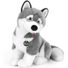 Trudi - Marcus, a husky plss kutyus