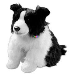 l Border Collie kutya, 40 cm
