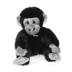 l csimpnz plssfigura, 20 cm
