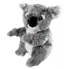 l plss koala, 16 cm