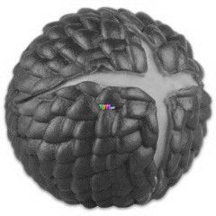 Waboba Dragon Egg pattlabda