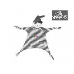 Wayne Doudou