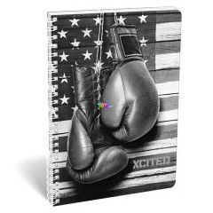 XCited Box vonalas, dupla spirlos fzet - A4